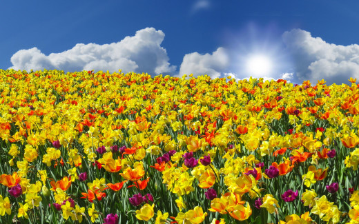 1449011 (a): :2880x1800
